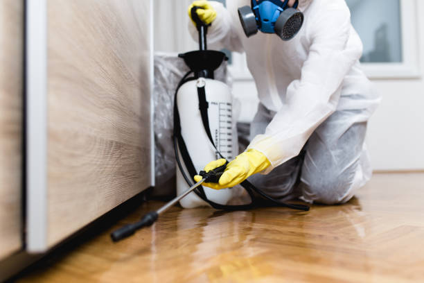 Best Affordable Pest Control Services  in Belleville, MI