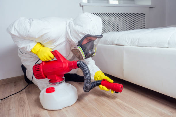 Best Flea Control Services  in Belleville, MI