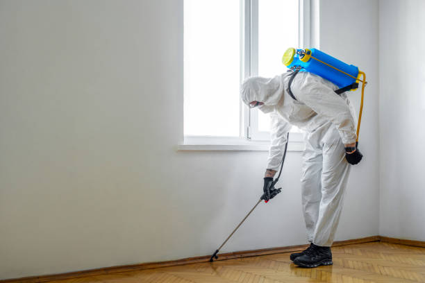 Professional Pest Control in Belleville, MI
