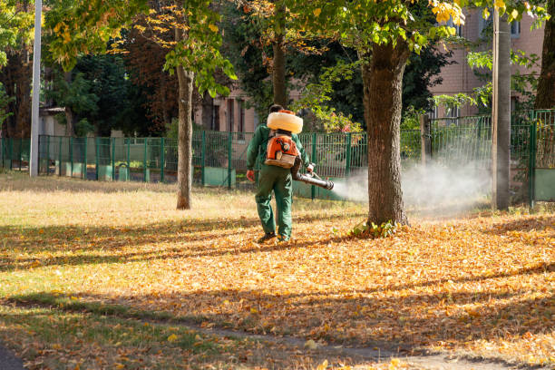 Best Rat Extermination Near Me  in Belleville, MI